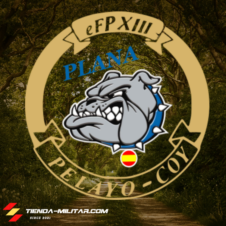 Logo personalizado de Pelayo Coy