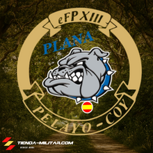 Cargar imagen en el visor de la galería, Logo personalizado de Pelayo Coy
