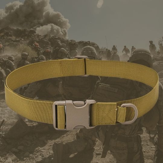 Cinturón táctico policial y militar - Tienda Militar
